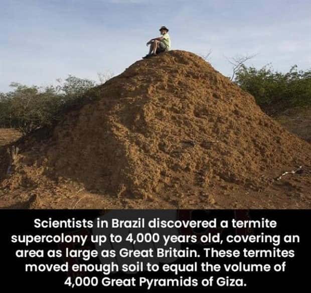 Klyker Picdump #1504 (44 photos)