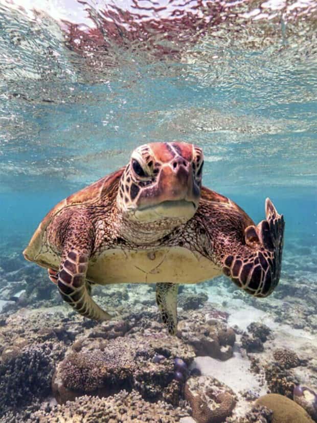 Klyker Picdump #1504 (44 photos)