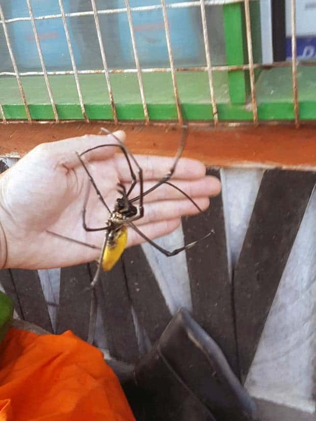 Klyker Picdump #1504 (44 photos)