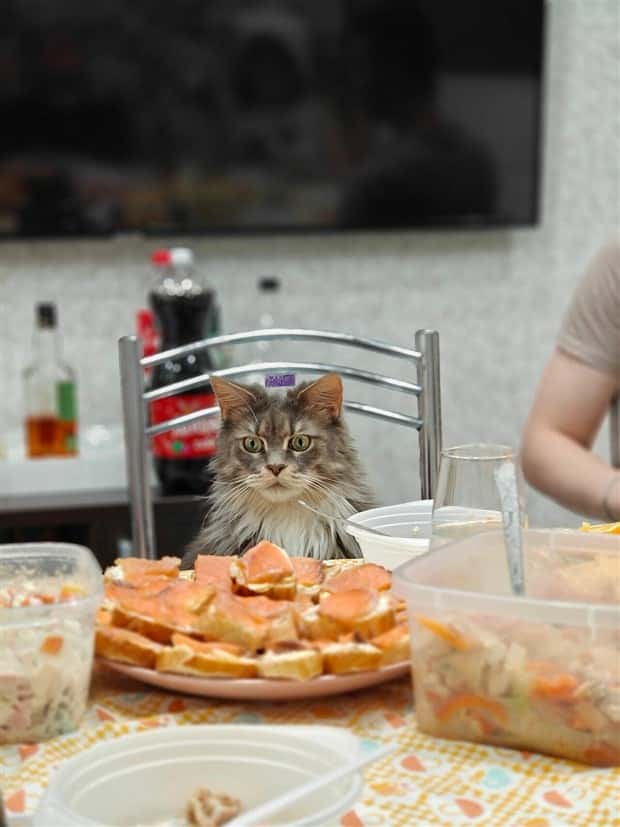 Klyker Picdump #1504 (44 photos)