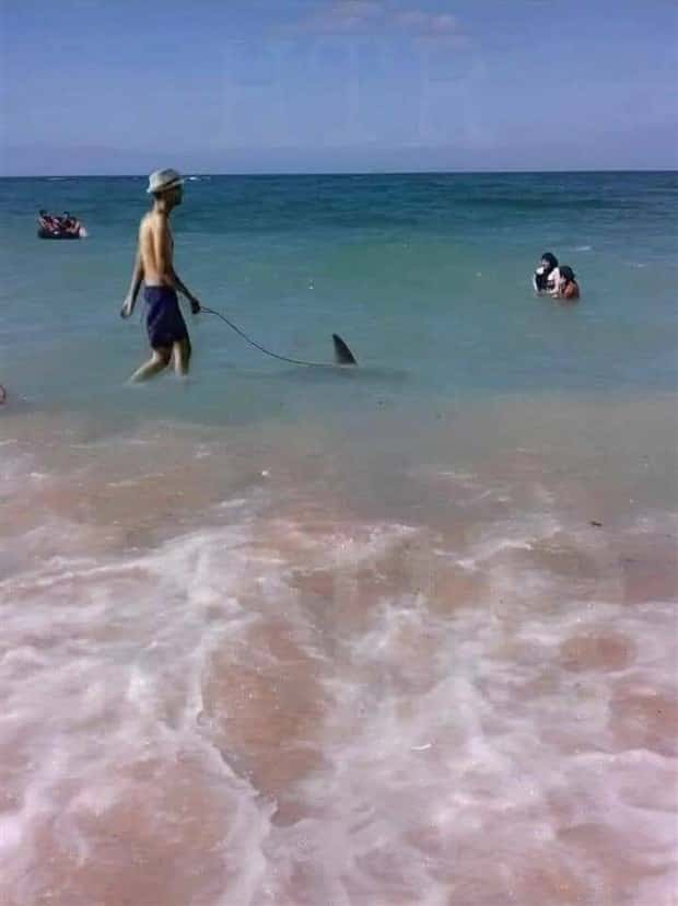 Klyker Picdump #1504 (44 photos)