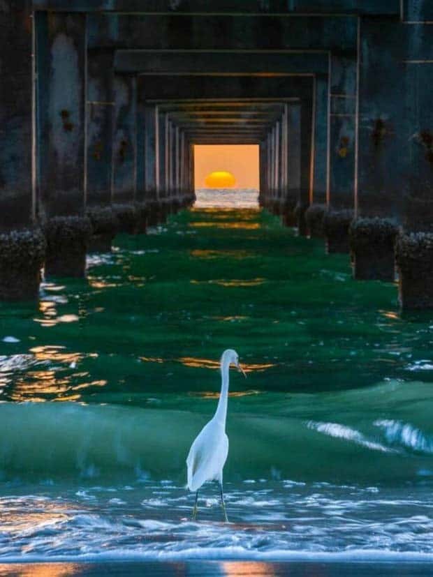 Klyker Picdump #1508 (43 photos)