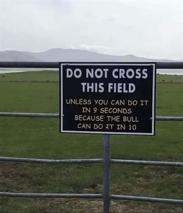 Klyker Picdump #1508 (43 photos)