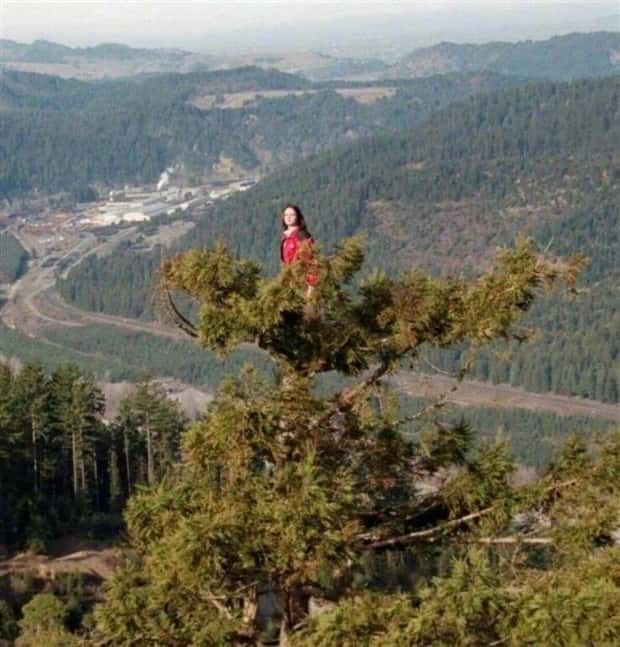 Klyker Picdump #1508 (43 photos)