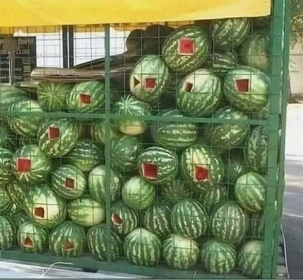 Klyker Picdump #1511 (41 photos)