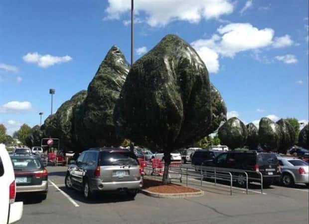 Klyker Picdump #1513 (43 photos)