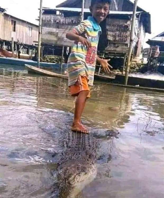 Klyker Picdump #1513 (43 photos)