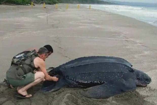 Klyker Picdump #1513 (43 photos)