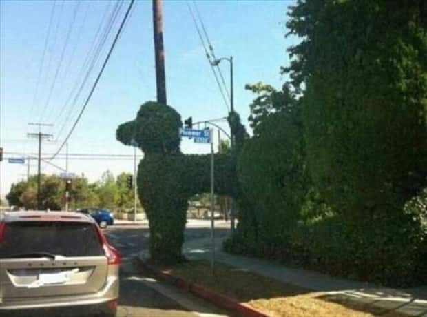 Klyker Picdump #1517 (42 photos)