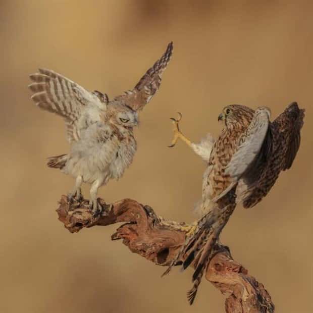 Klyker Picdump #1517 (42 photos)