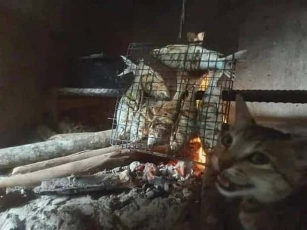 Klyker Picdump #1517 (42 photos)