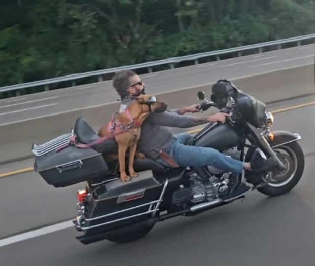 Klyker Picdump #1517 (42 photos)