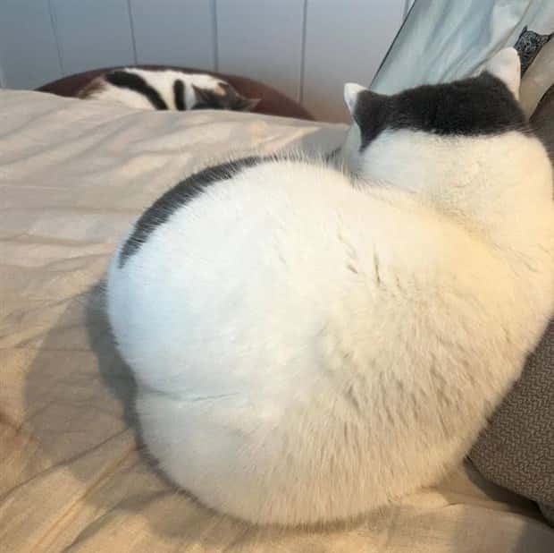 Klyker Picdump #1517 (42 photos)