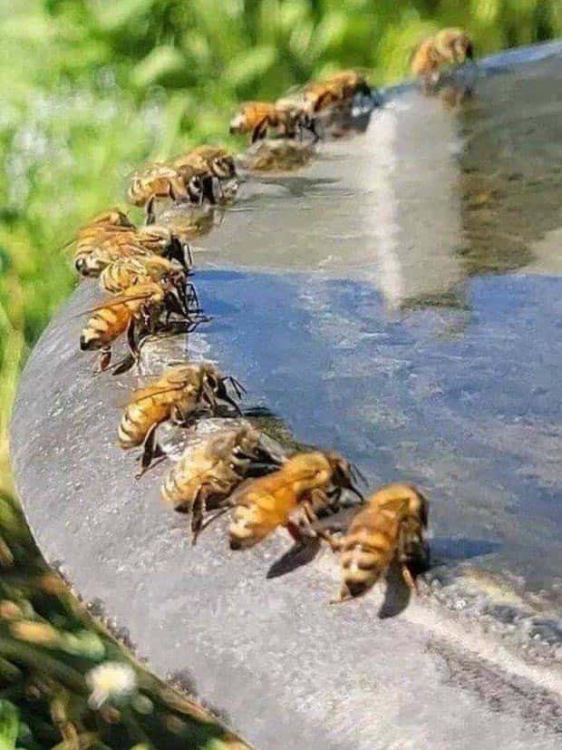 Klyker Picdump #1501 (41 photos)