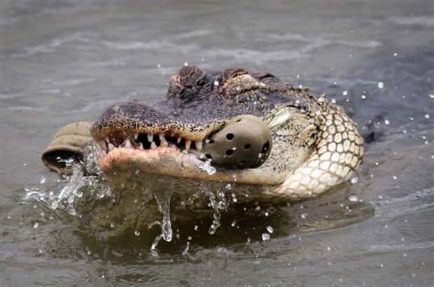 Klyker Picdump #1501 (41 photos)