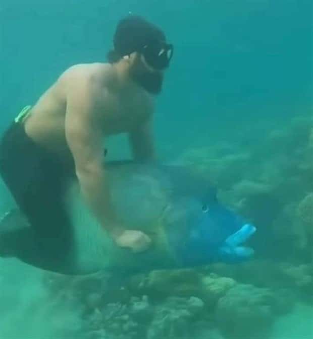 Klyker Picdump #1501 (41 photos)