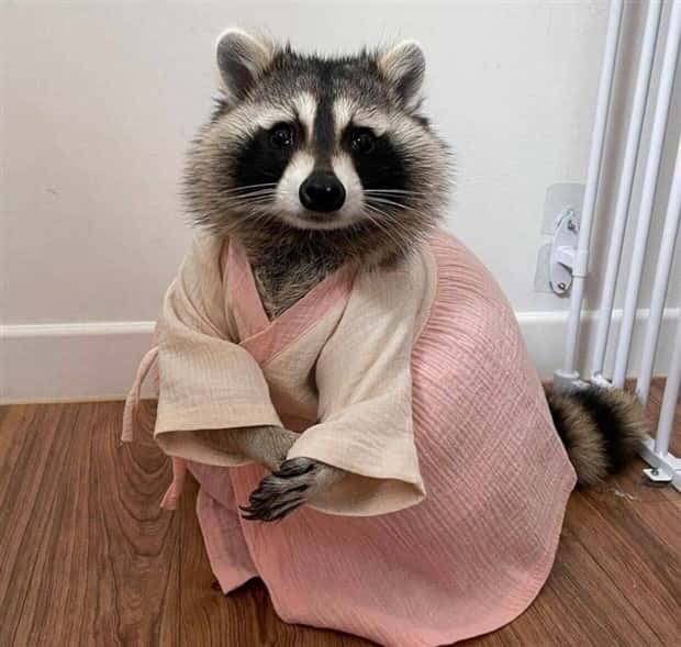 Klyker Picdump #1502 (42 photos)