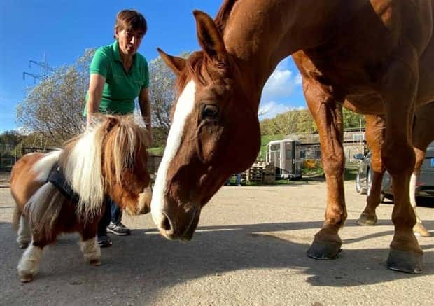 Klyker Picdump #1502 (42 photos)