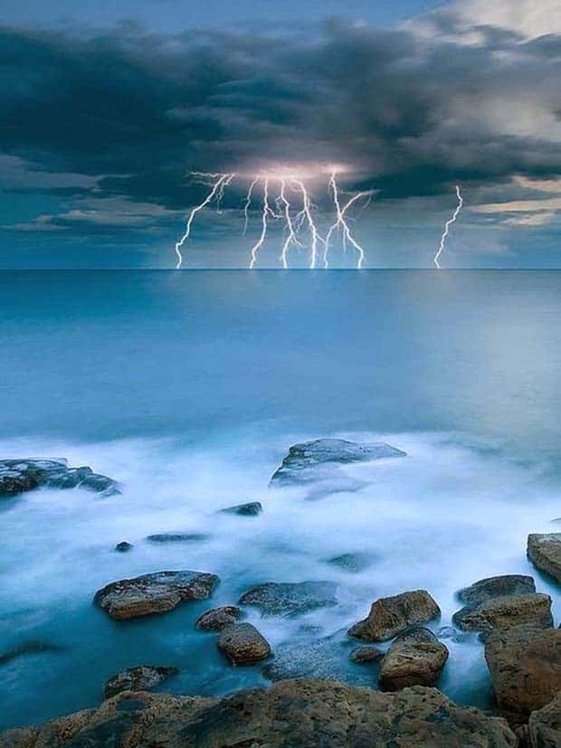 Natures Art: Beauty in Every Detail (30 photos)