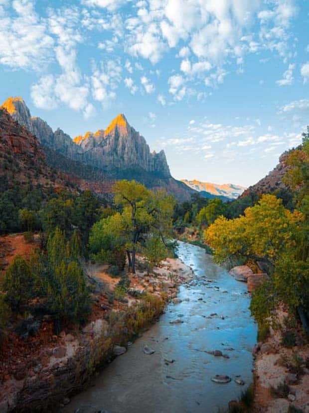 Natures Art: Beauty in Every Detail (30 photos)