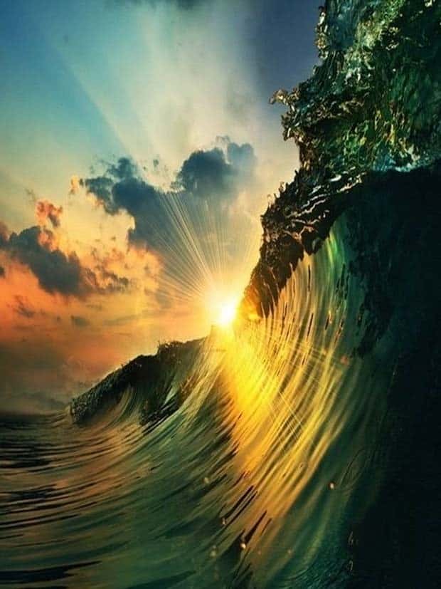 Natures Art: Beauty in Every Detail (30 photos)