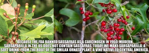 It’s Time for Some Cool and Interesting Facts #384 (28 photos)