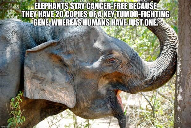 It’s Time for Some Cool and Interesting Facts #384 (28 photos)