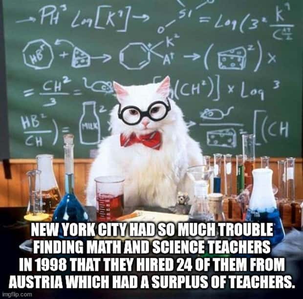 It’s Time for Some Cool and Interesting Facts #384 (28 photos)