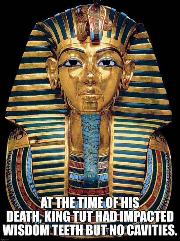 It’s Time for Some Cool and Interesting Facts #384 (28 photos)