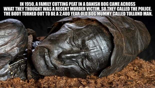 It’s Time for Some Cool and Interesting Facts #384 (28 photos)