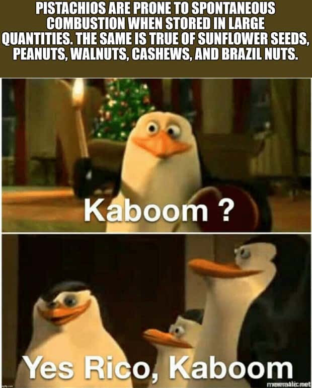 It’s Time for Some Cool and Interesting Facts #384 (28 photos)