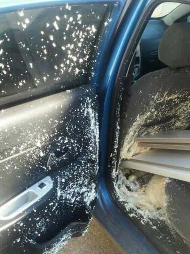 Shit Happens Regularly, Get Used To It #284 (26 photos)