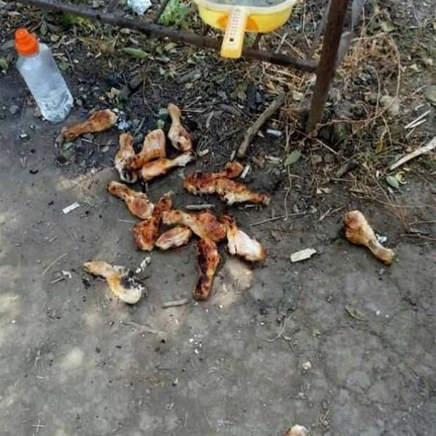 Shit Happens Regularly, Get Used To It #284 (26 photos)