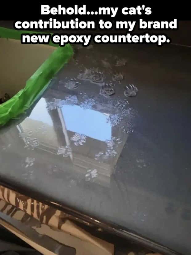 Shit Happens Regularly, Get Used To It #285 (23 photos)