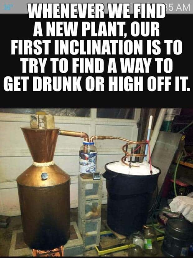 shower thoughts 24 Funny Shower Thoughts #109 (26 photos)