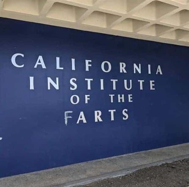 24 Examples of Alleged Vandalism (24 photos)