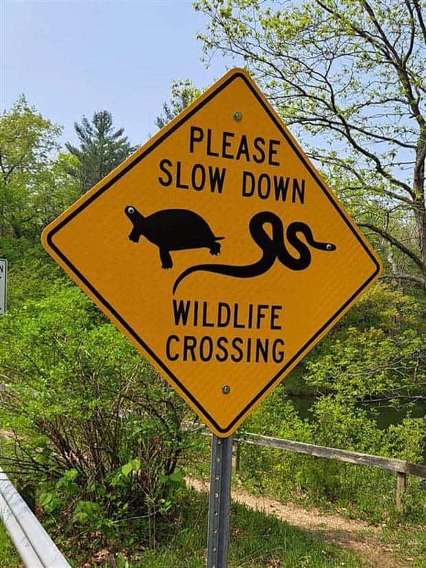 24 Examples of Alleged Vandalism (24 photos)