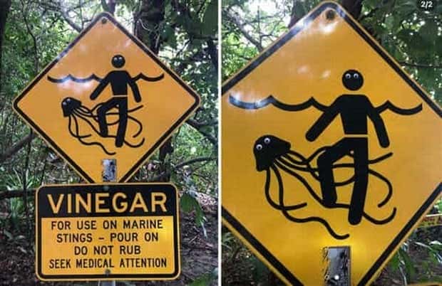 24 Examples of Alleged Vandalism (24 photos)