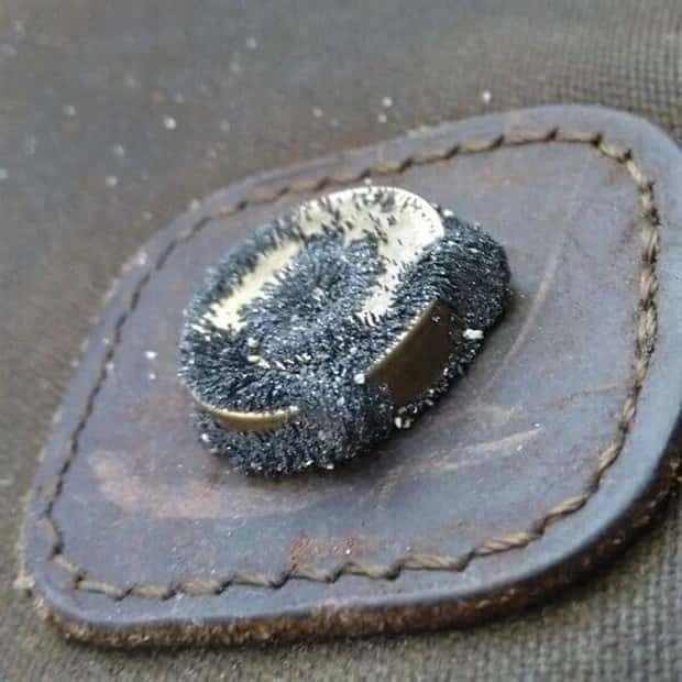 Unexpected Finds on Beaches (31 photos)