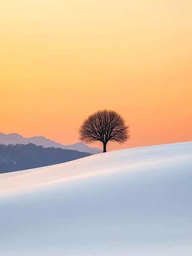 Awesome Pictures You Shouldn’t Miss #115 (22 photos)