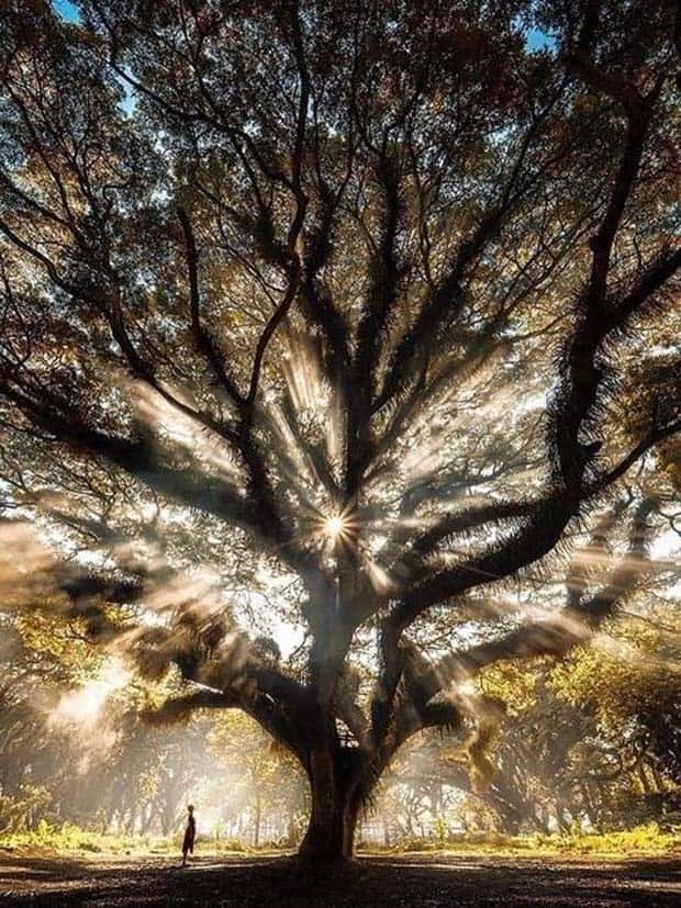 Awesome Pictures You Shouldn’t Miss #115 (22 photos)