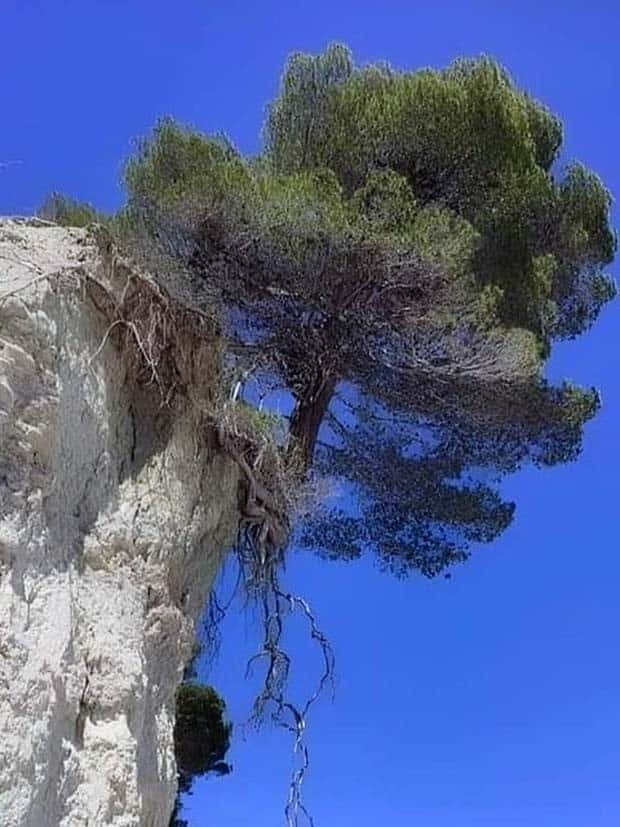 Awesome Pictures You Shouldn’t Miss #115 (22 photos)