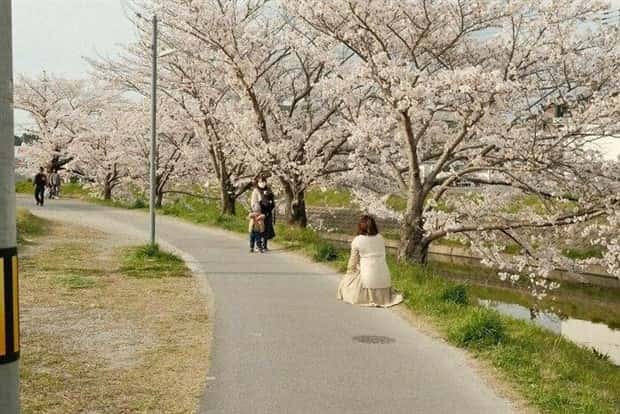 Awesome Pictures You Shouldn’t Miss #116 (25 photos)