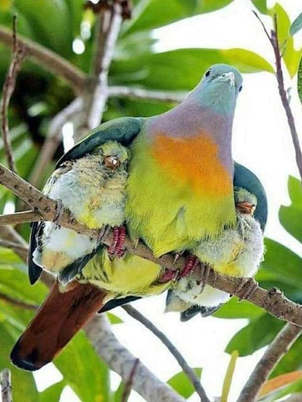 Awesome Pictures You Shouldn’t Miss #115 (22 photos)