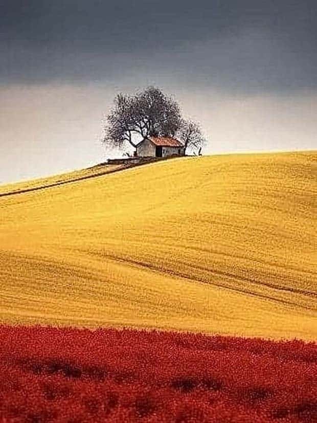 Awesome Pictures You Shouldn’t Miss #115 (22 photos)