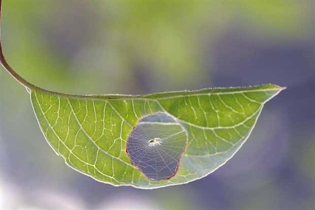 Awesome Pictures You Shouldn’t Miss #115 (22 photos)