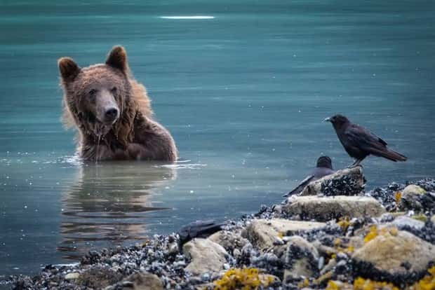 Awesome Pictures You Shouldn’t Miss #116 (25 photos)