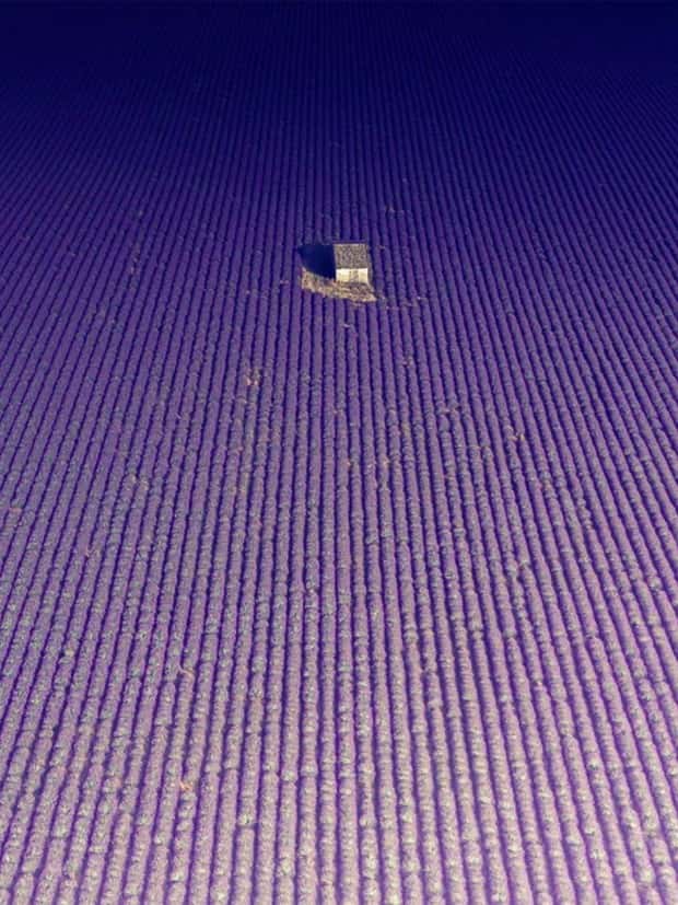 Awesome Pictures You Shouldn’t Miss #114 (29 photos)