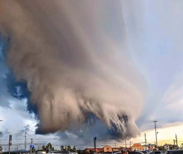 Awesome Pictures You Shouldn’t Miss #115 (22 photos)