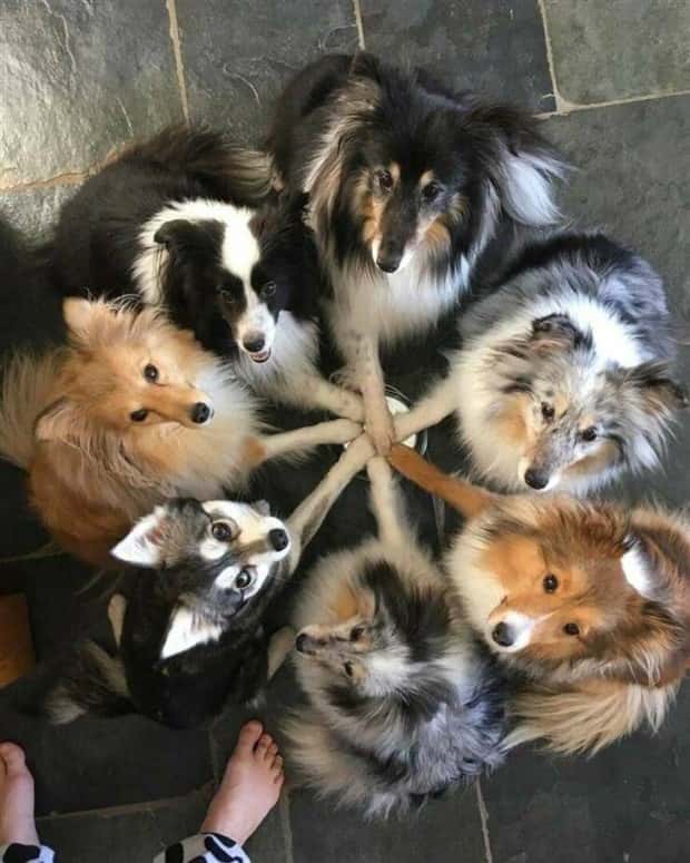 Awesome Pictures You Shouldn’t Miss #115 (22 photos)